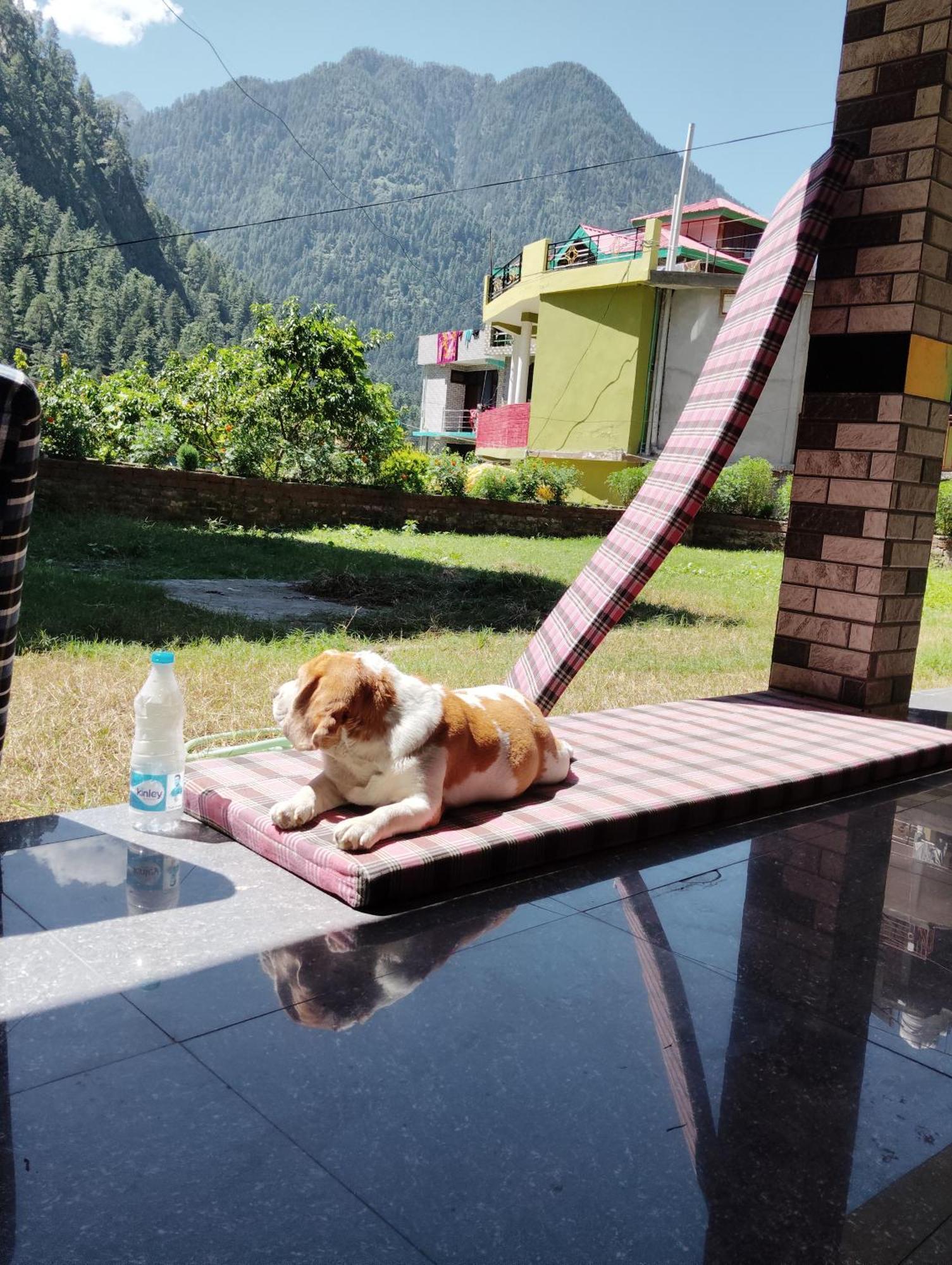 Отель Dog N Hill Касоль Экстерьер фото